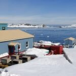 O caos de Doge chega à Antártica | Conectado