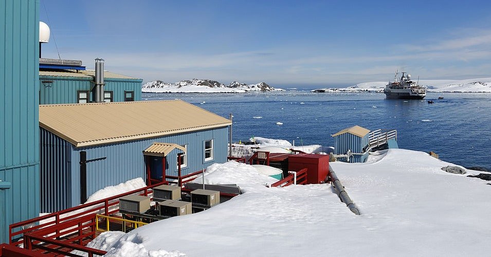 O caos de Doge chega à Antártica | Conectado