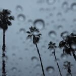 O problema da Califórnia agora não é fogo - a chuva é