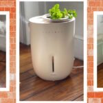 7 Melhores umidificadores testados com fio para casa e fora (2025)