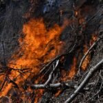 As condições climáticas extremas que dirigiam os incêndios da Carolina