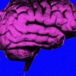 Databricks tem um truque que permite que os modelos de IA melhorem a si mesmos
