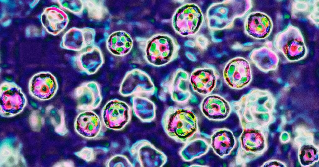 É assim que o sarampo mata