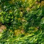 Esta pasta de algas bobagens pode entrar em tudo que você come e usa