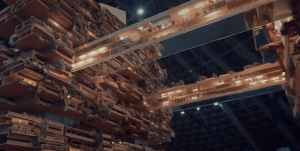 Neom está se transformando em um desastre financeiro, exceto a McKinsey & Co.