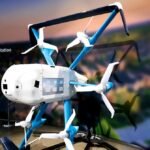 Os drones de entrega da Amazon estão aterrados. Os pássaros e cães desta cidade do Texas são gratos