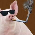 Você deve fumar (comida) dentro de casa?