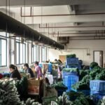 A guerra comercial de Trump está fortalecendo o poder suave da China