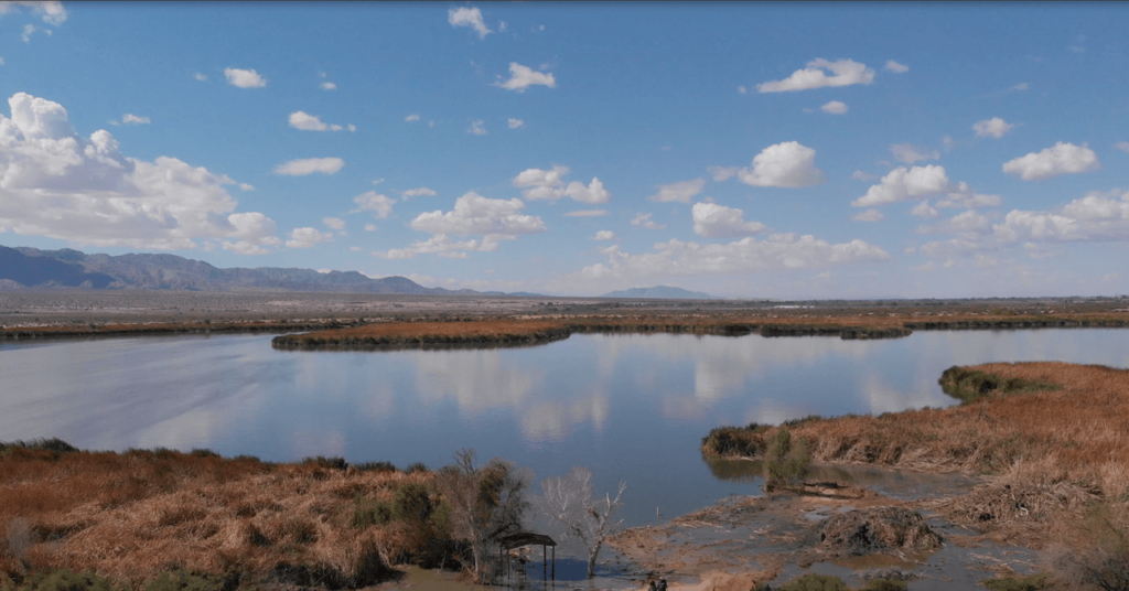 Este pântano artificial está reutilizando as águas residuais para reviver um ecossistema perdido