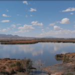 Este pântano artificial está reutilizando as águas residuais para reviver um ecossistema perdido