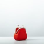 An open red coin purse pictured against a white background