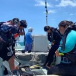 Como os refúgios de pesca do México estão lutando contra a caça furtiva