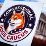 Um recrutador do Doge está com um projeto para implantar agentes de IA em todo o governo dos EUA