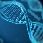 Biotech Nephrogen combina IA e terapia genética para reverter doenças renais – confira no TechCrunch Disrupt 2025