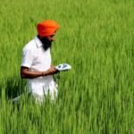 Varaha regenerative agriculture field experiment