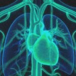 Uma terapia de edição genética reduz os níveis de colesterol pela metade