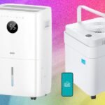 6 melhores desumidificadores para manter sua casa livre de mofo (2026)