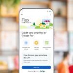 Google Pay Flex co-branded credit card