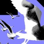 Os influenciadores políticos mais poderosos mal postam sobre política