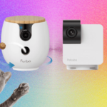 As 10 melhores câmeras para animais de estimação (2026), testadas com nossos animais de estimação