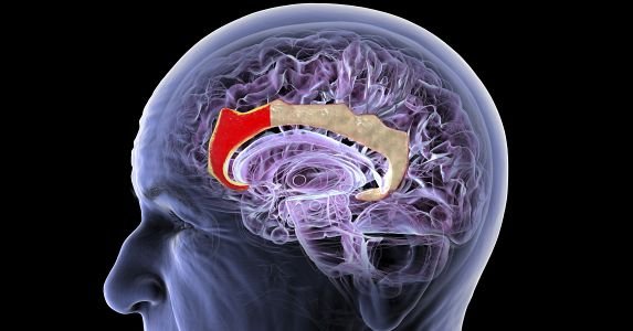 Esta startup chinesa quer construir uma nova interface cérebro-computador – sem necessidade de implante