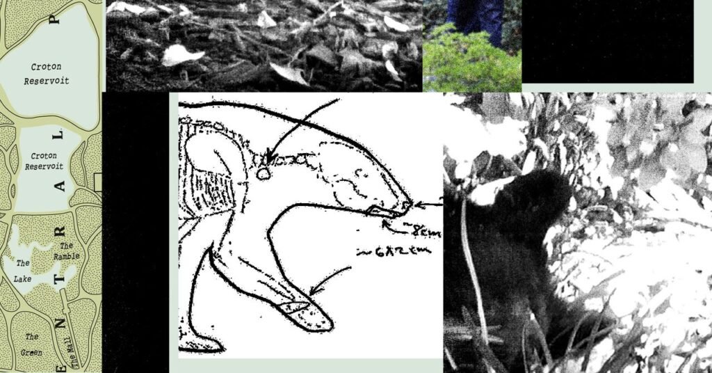 Novos registros revelam a bagunça que RFK Jr. deixou quando largou um urso morto no Central Park