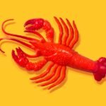 Depois de todo o hype, alguns especialistas em IA não acham que o OpenClaw seja tão empolgante