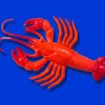 Red rubber lobster toy on blue background