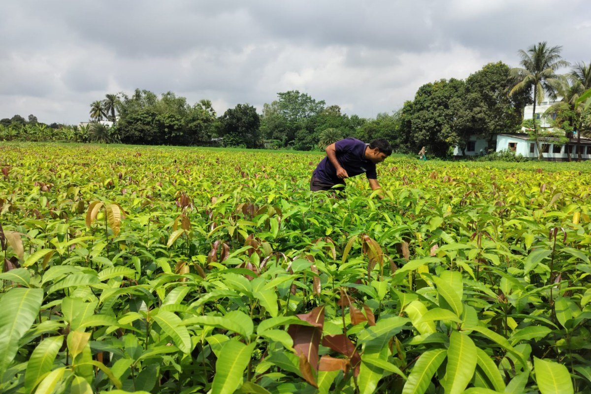 Varaha project at a farm