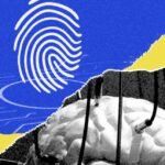 Agentes OpenClaw podem ser levados pela culpa à auto-sabotagem