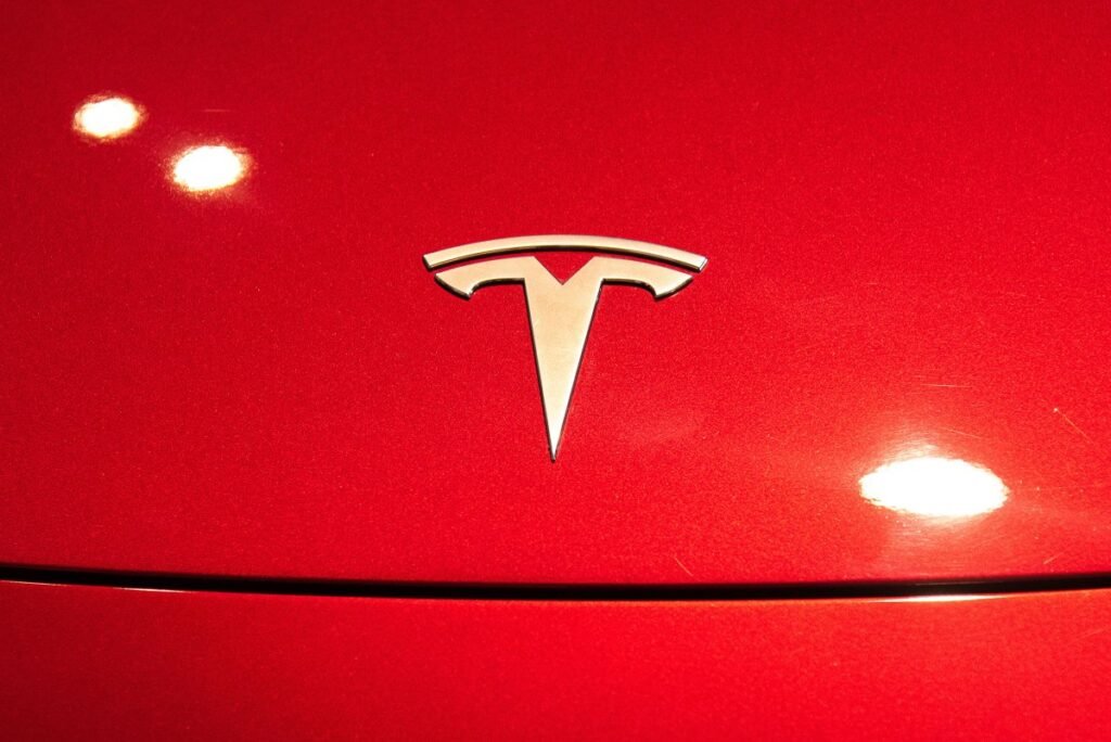 A Tesla logo seen on a Tesla Model 3 car.