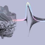 CollectivIQ, Artistic images of the brain and action potentials happening in it.