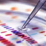 Pipette adding sample to petri dish with DNA profiles in background