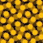 gold bitcoin logos featured on spiky-shaped coins on a darkened black background