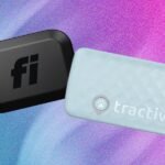 Coleiras inteligentes para gatos: o que é melhor para saúde e rastreamento por GPS?