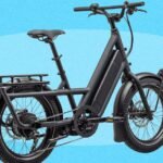 Melhores bicicletas elétricas de carga (2026): Urban Arrow, Lectric, Tern e muito mais