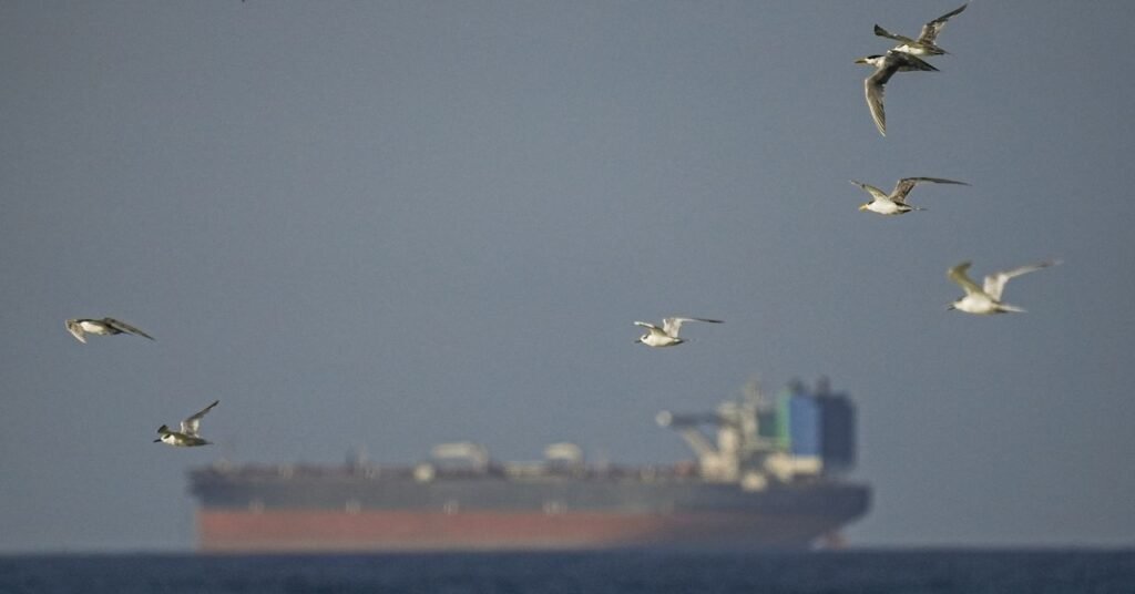 Petroleiros falsificados estão inundando o Estreito de Ormuz. Esses analistas os estão rastreando