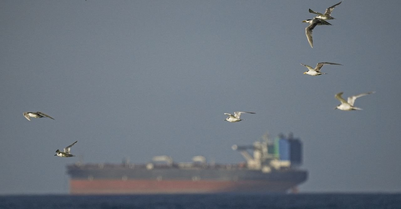 Petroleiros falsificados estão inundando o Estreito de Ormuz. Esses analistas os estão rastreando