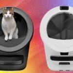 Qual caixa de areia automática é a melhor? Testamos a programação do Litter-Robot