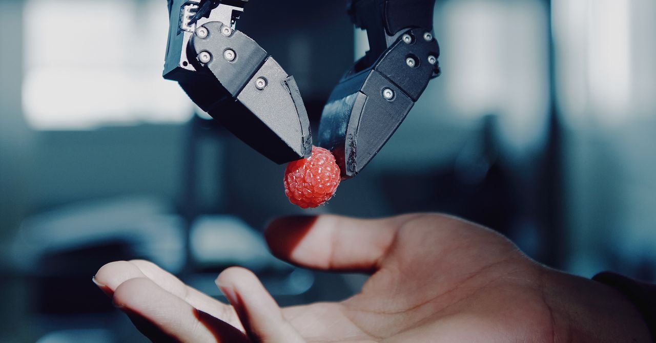 Quando os robôs tiverem seu momento ChatGPT, lembre-se dessas pinças