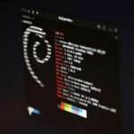 a screenshot of Debian Linux on a black screen with a white terminal font