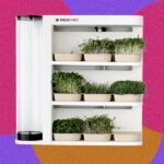 Revisão automatizada do jardim interno de microgreens da InstaFarm: fácil ser verde