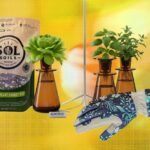 19 melhores presentes para amantes de plantas e jardineiros (2026)