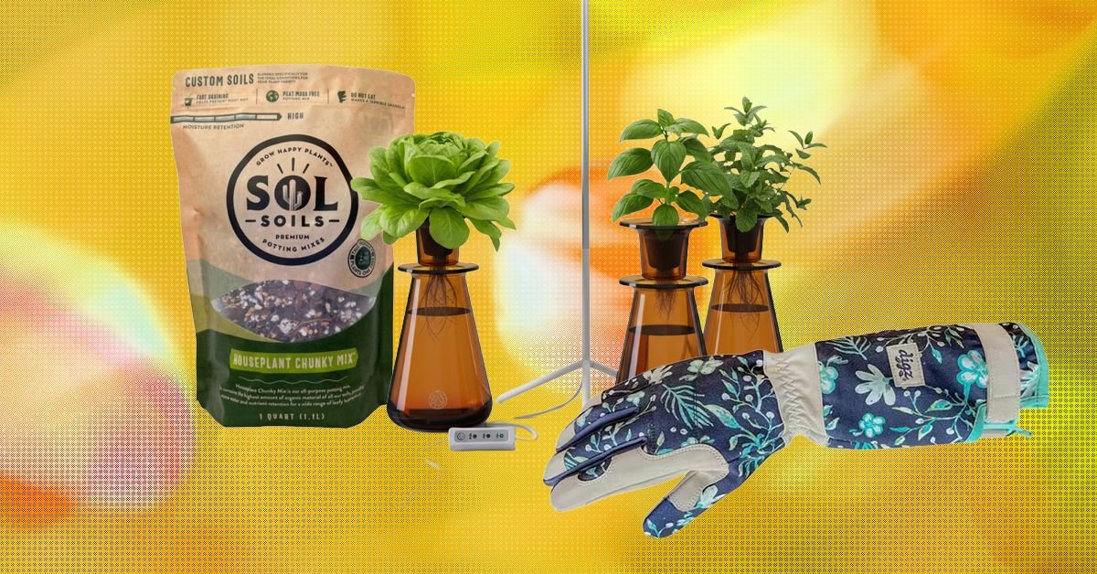 19 melhores presentes para amantes de plantas e jardineiros (2026)