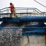El Niño já está causando estragos nas pescas do Pacífico